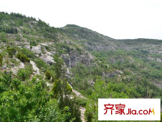 外海中央花園臘山湖濕地公園