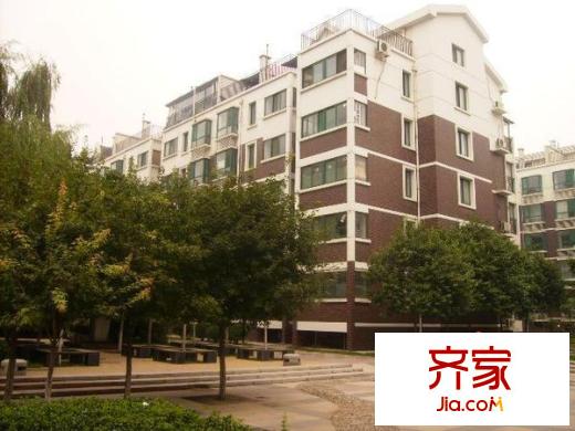 齊魯花園外景圖 