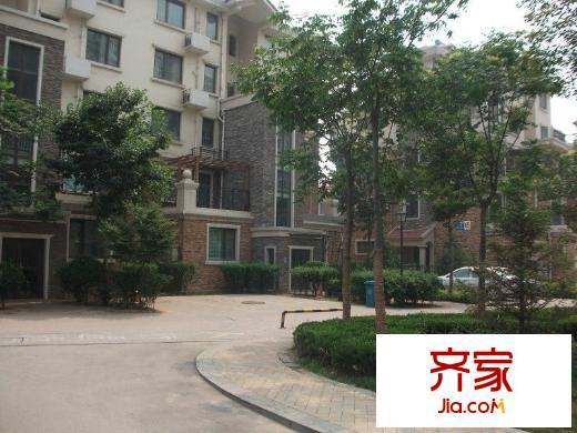 萊茵小鎮(zhèn)外景圖 