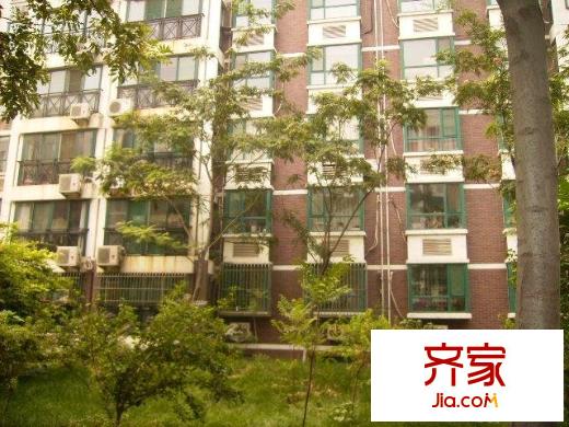 齊魯花園外景圖