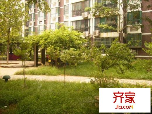 齊魯花園外景圖 