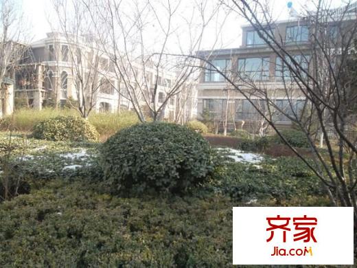 中海紫御東郡外景圖 