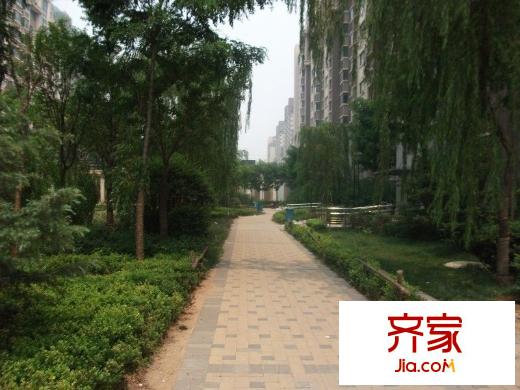 萊茵小鎮(zhèn)外景圖 