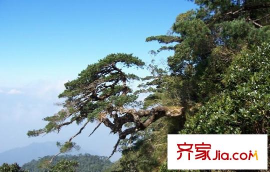 重汽蝶泉灣周邊五指山風(fēng)景區(qū)