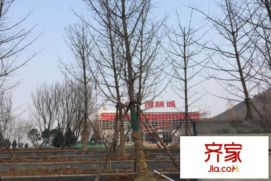 綠地國際城售樓處（2015-12-21）