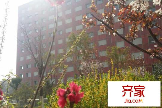 山景?明珠MOMA小區(qū)（2015-9-16）