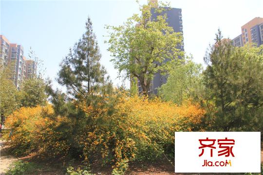 永大頤和園小區(qū)