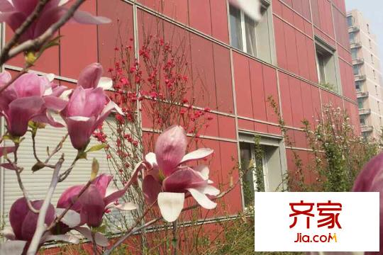 山景?明珠MOMA小區(qū)（2015-9-16）
