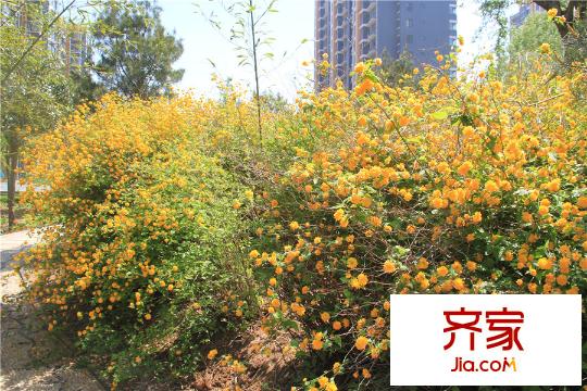 永大頤和園小區(qū)