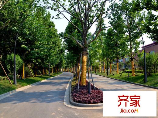 藍(lán)石大溪地園林（2014-08-19）