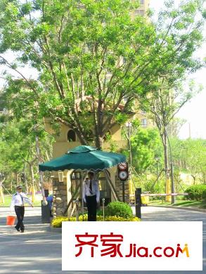 藍(lán)石大溪地秩序維護(hù)門衛(wèi)