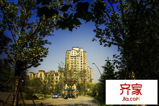 藍(lán)石大溪地園林（2014-11-17）