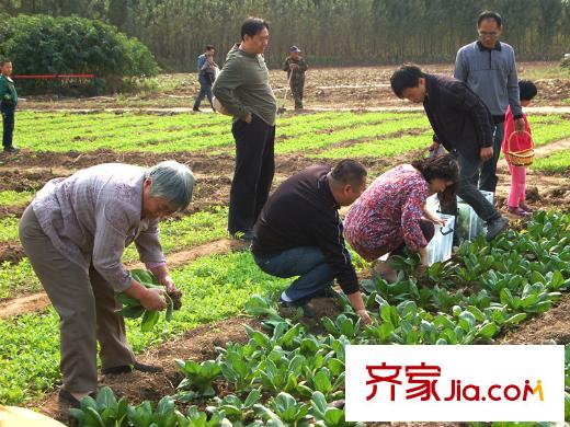 藍(lán)石大溪地大溪地有機(jī)農(nóng)場
