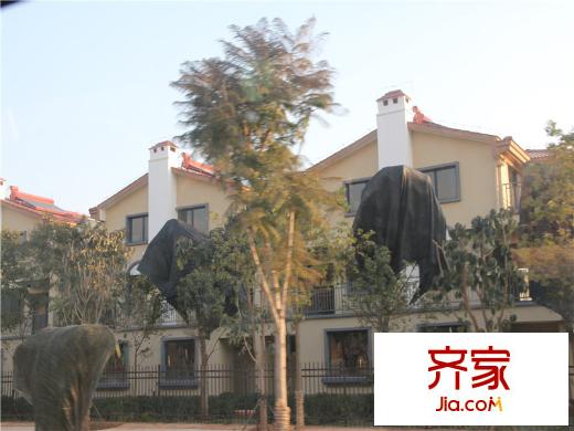 寧湖春天項目現(xiàn)場小區(qū)綠化（2013-12-23）