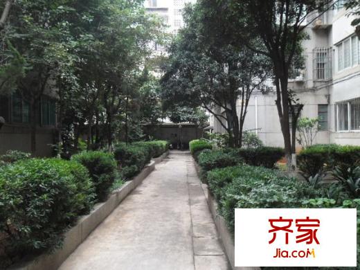 東栗巷外景圖 
