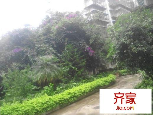 東栗巷外景圖 