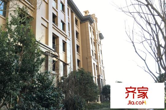 華潤中央公園外景圖10