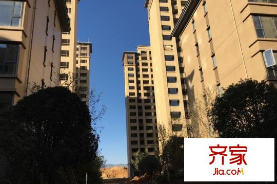 華潤中央公園外景圖11