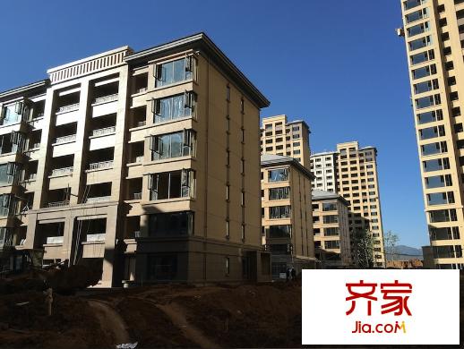 華潤中央公園外景圖4