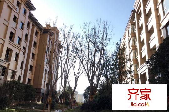 華潤中央公園小區(qū)內(nèi)部（2015.12.4）
