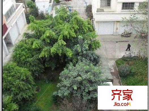云錫花園外景圖 