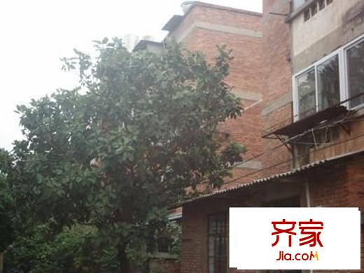 曇華寺住宅小區(qū)外景圖 