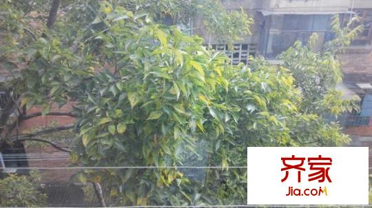 理工大學(xué)新迎校區(qū)外景圖 