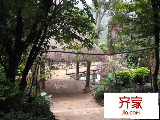 茉莉唐朝別墅實(shí)景圖別墅院落景物實(shí)拍（2010.4）