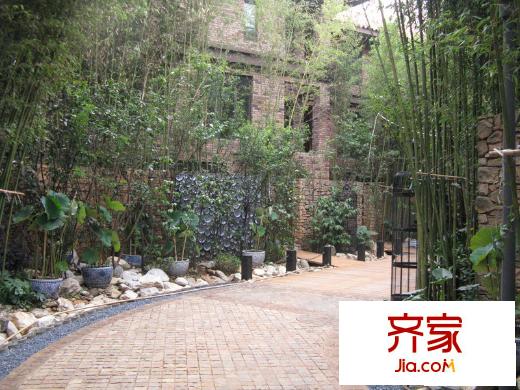 茉莉唐朝別墅實(shí)景圖別墅院景實(shí)拍（2010.4）