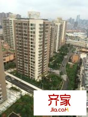 金曇花園外景圖 