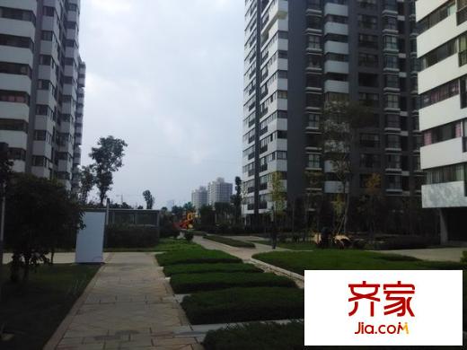 金曇花園外景圖 