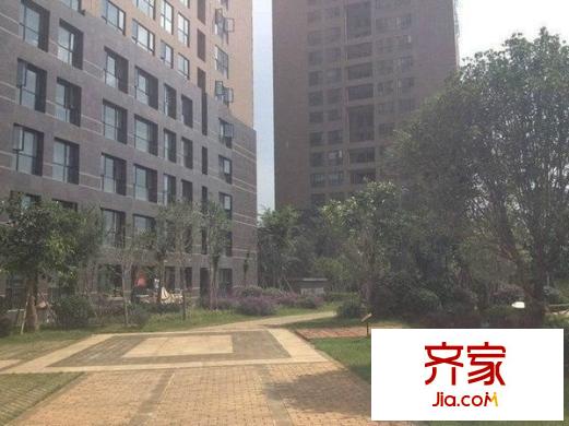 金曇花園外景圖 
