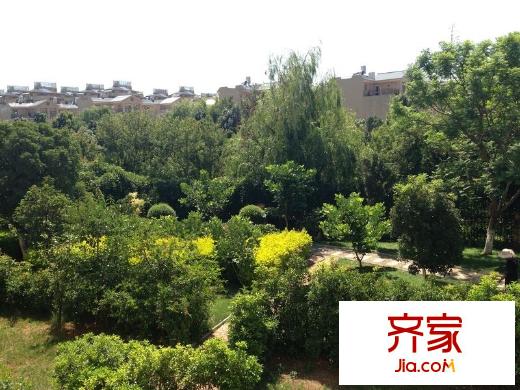 采蓮郡別墅外景圖 