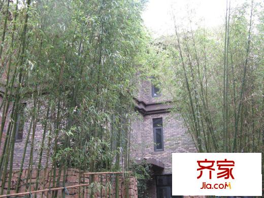 茉莉唐朝別墅實(shí)景圖別墅外景實(shí)拍（2010.4）
