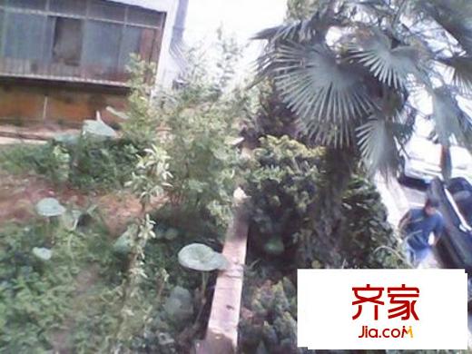 探礦廠生活區(qū)外景圖 