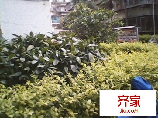 探礦廠生活區(qū)外景圖 
