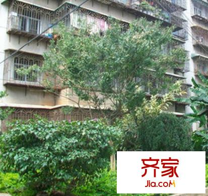 昆明化油器廠外景圖 