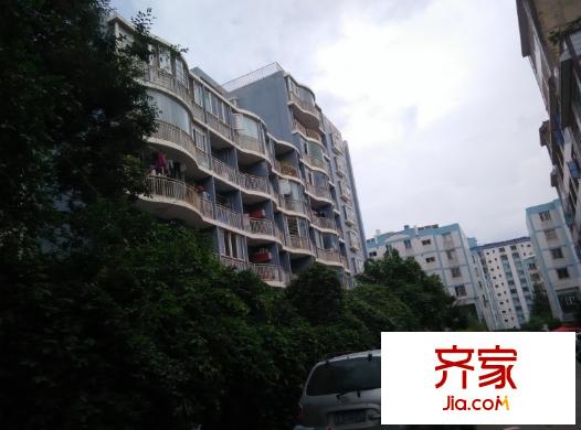 金葉緹香愛(ài)尚外景圖conew_img_20150919_160121