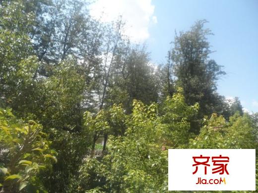 昆湖花園外景圖3
