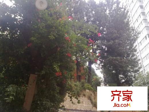 林崗小區(qū)外景圖 