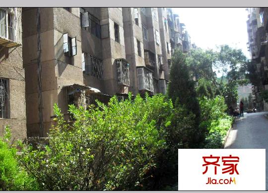 林崗小區(qū)外景圖 
