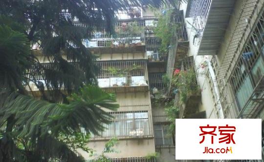 王大橋小區(qū)外景圖