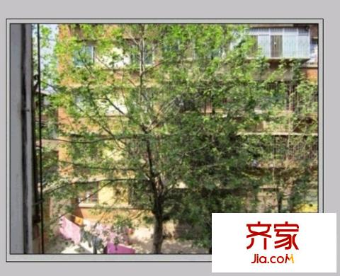 林崗小區(qū)外景圖 