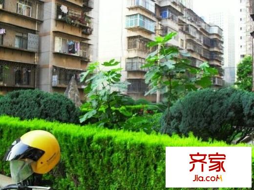 昆明卷煙廠田壩小區(qū)外景圖昆明卷煙廠田壩區(qū) 