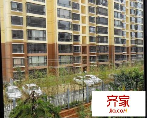 巴士西苑外景圖 實景圖