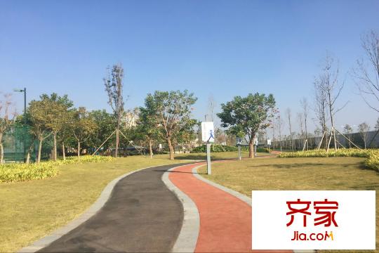 萬(wàn)科公園里項(xiàng)目公園-散步道（2015.12.20）