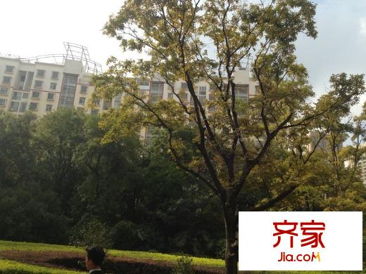 德瀛華府外景圖 