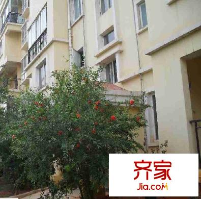 天澤園小區(qū)外景圖 