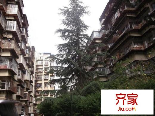 興隆小區(qū)外景圖 