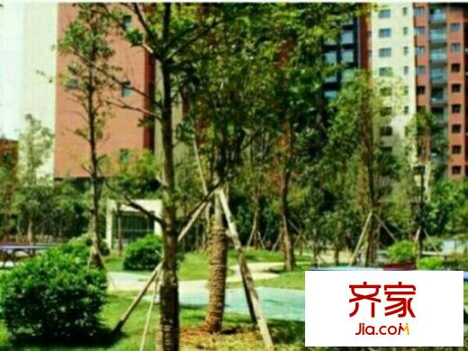新亞洲體育城星云園外景圖 